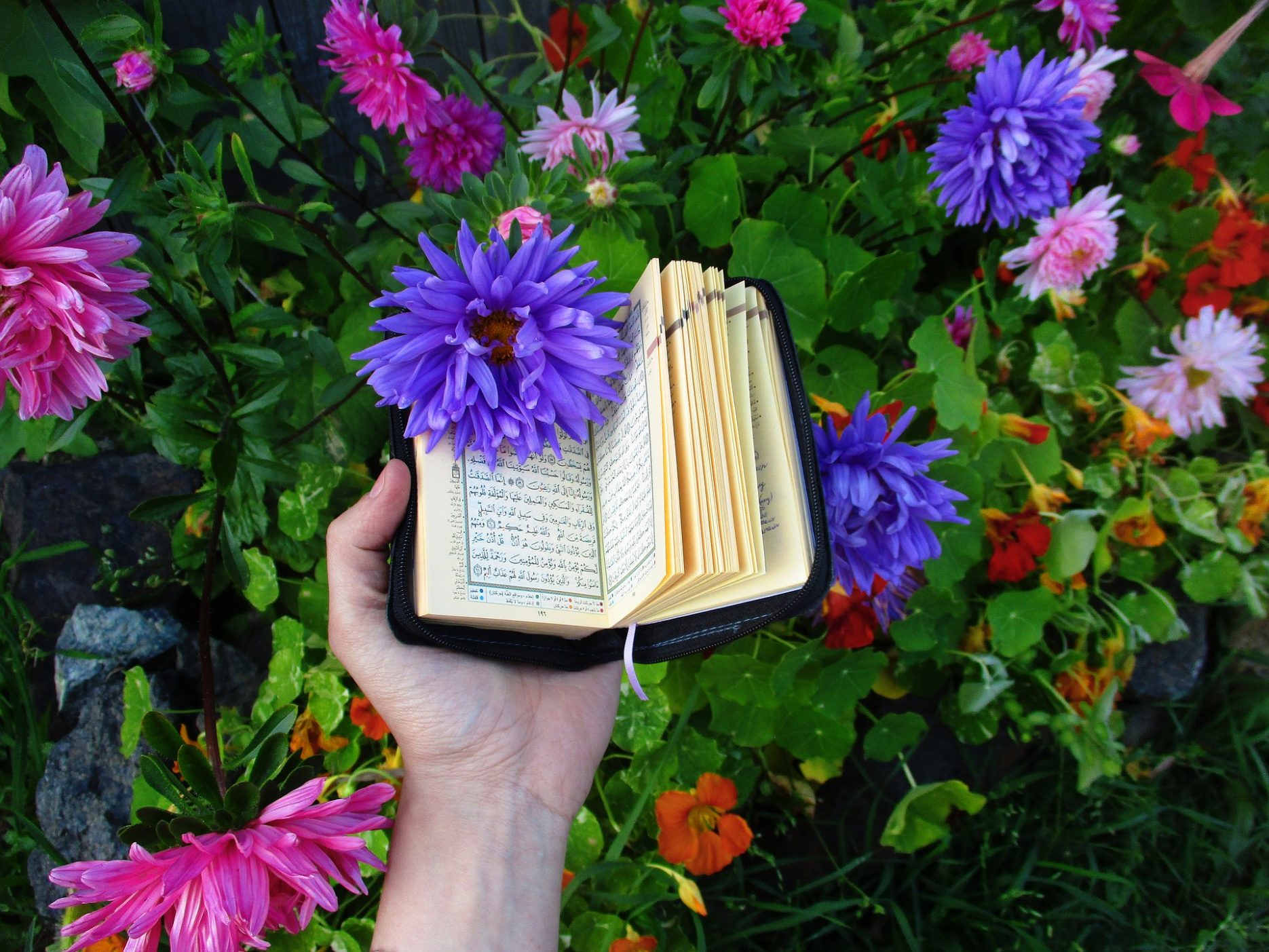 Das Bild zeigt eine Ausgabe des Korans umgeben von Blumen.