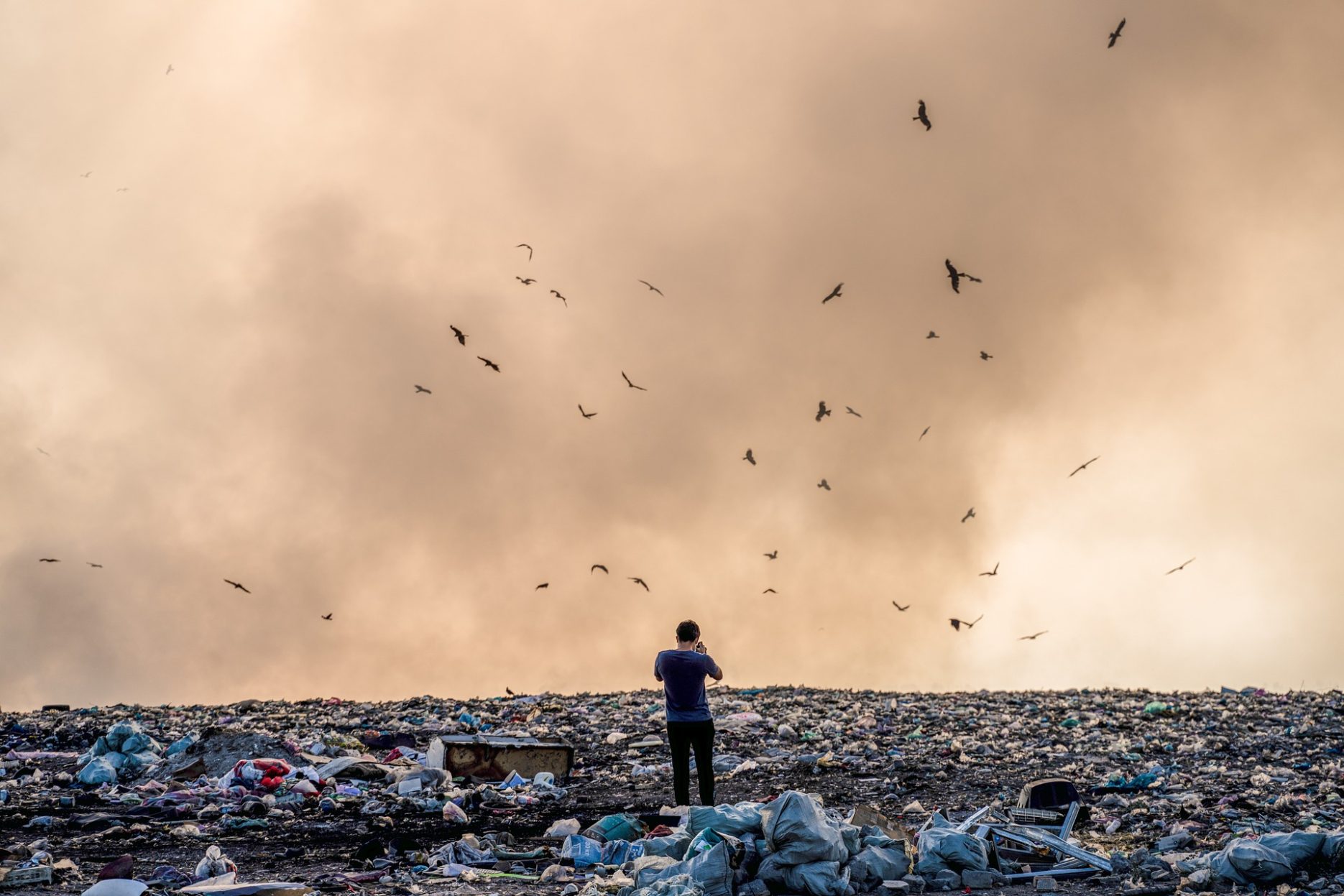 Das Bild zeigt eine große Müllhalde. Mittendrin steht eine Person und fotografiert; Vögel fliegen darüber.