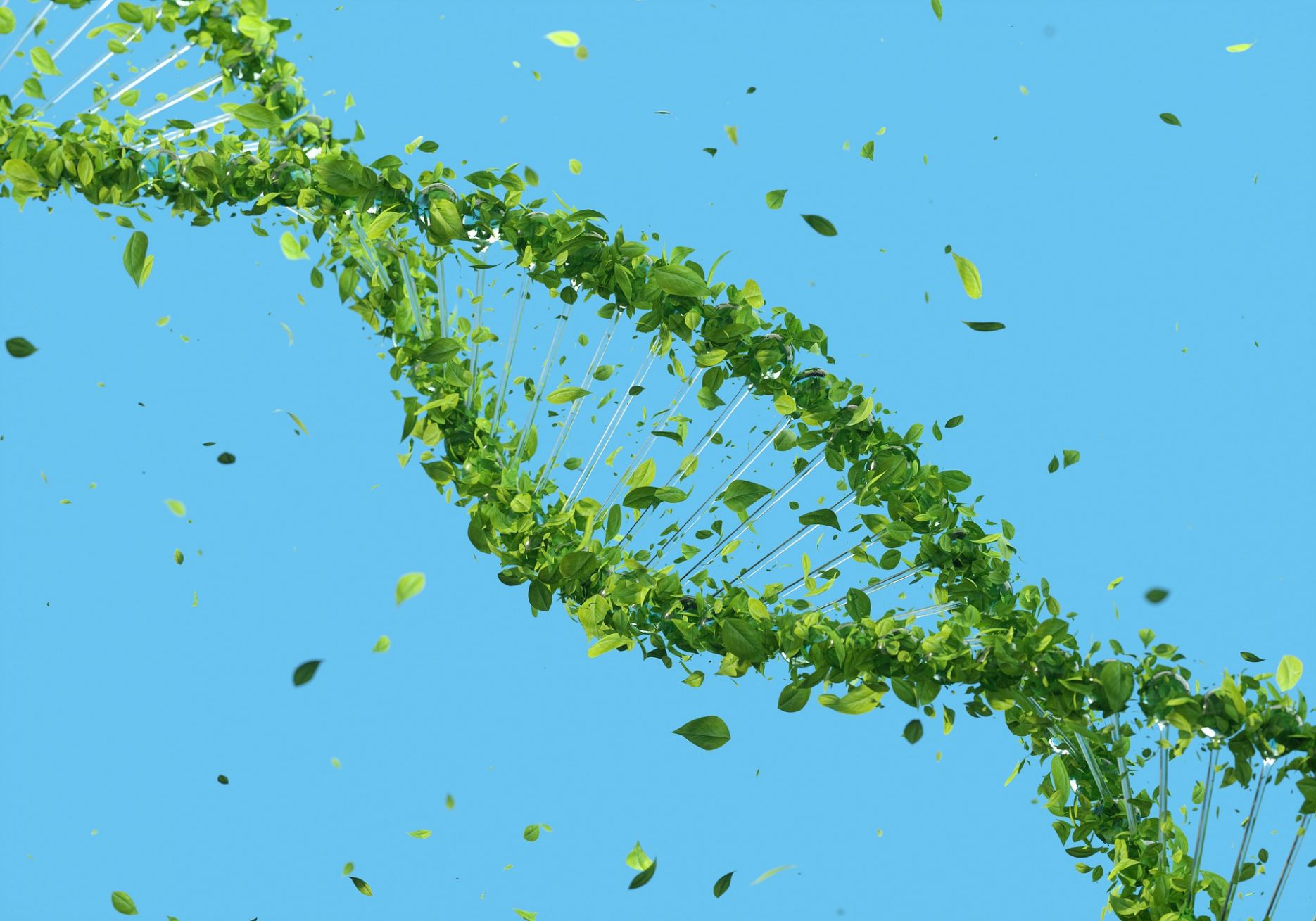 Das Bild zeigt eine Doppelhelix, die aus grünen Blättern besteht.