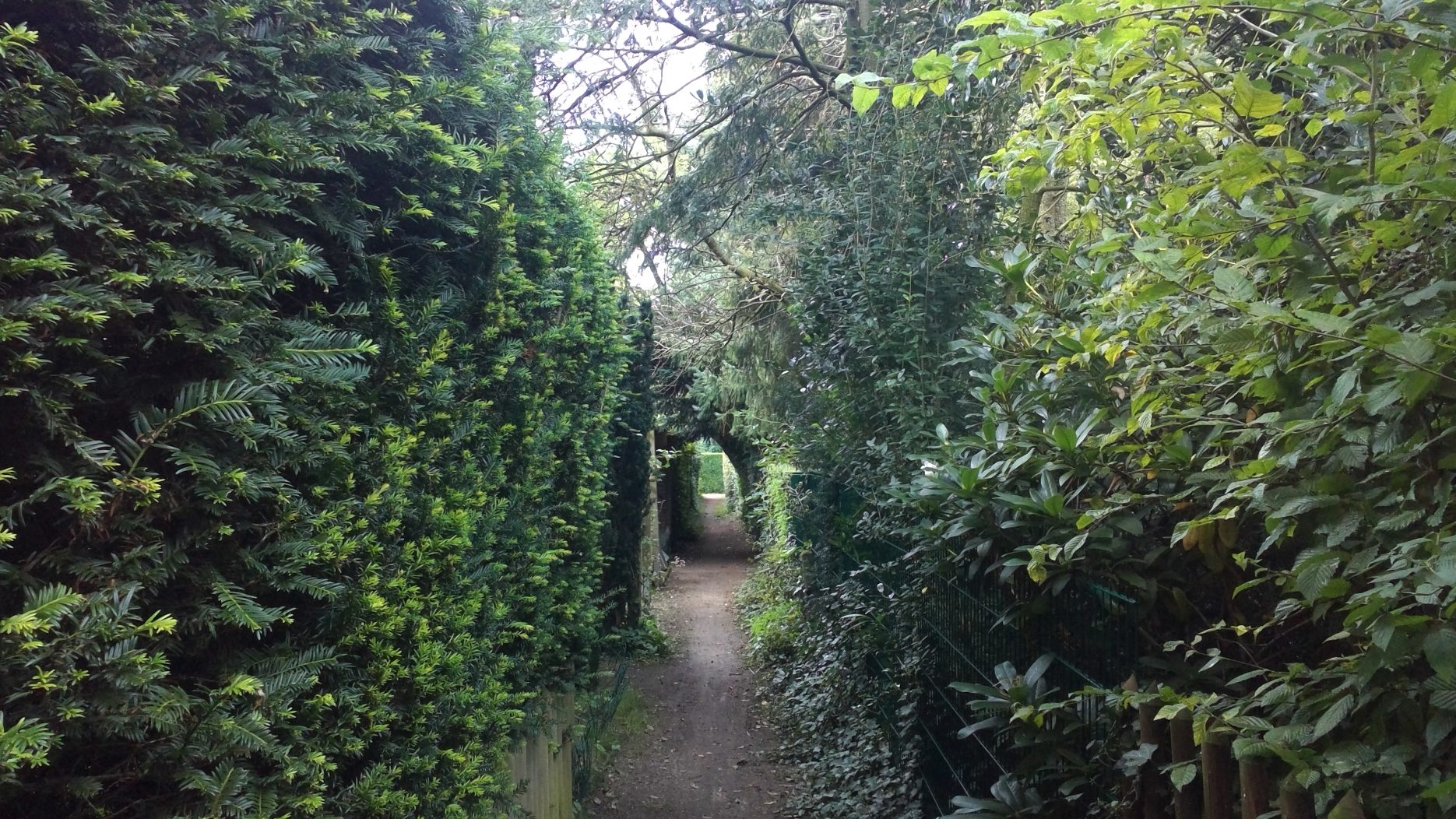 Das Bild zeigt einen grünen Korridor aus Hecken und Bäumen.