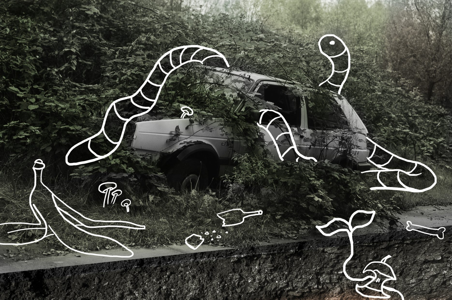 Bild zeigt die Fotografie eines mit Vegetation überwucherten Autos in Kombination mit der Zeichnung eines Regenwurms, der sich um das Auto windet.
